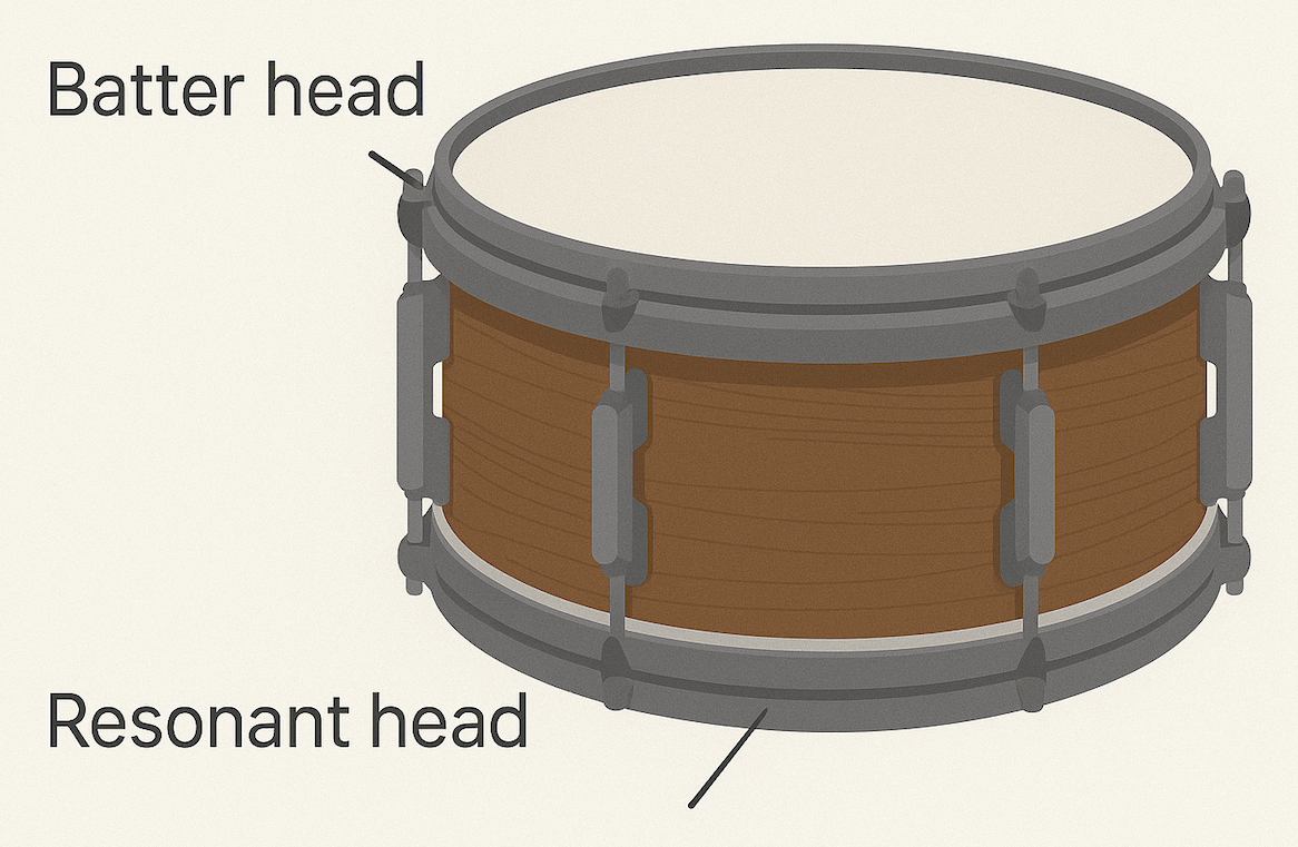 snare drumhead reso and batter heads